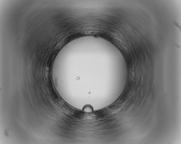 X0000096210263200802081509