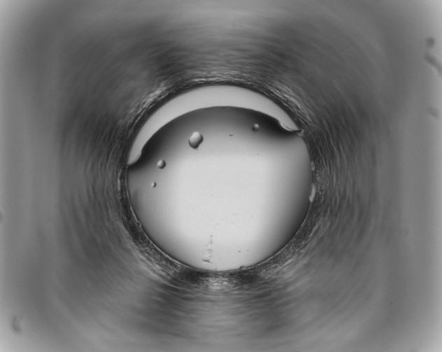 X0000096210264200802081509