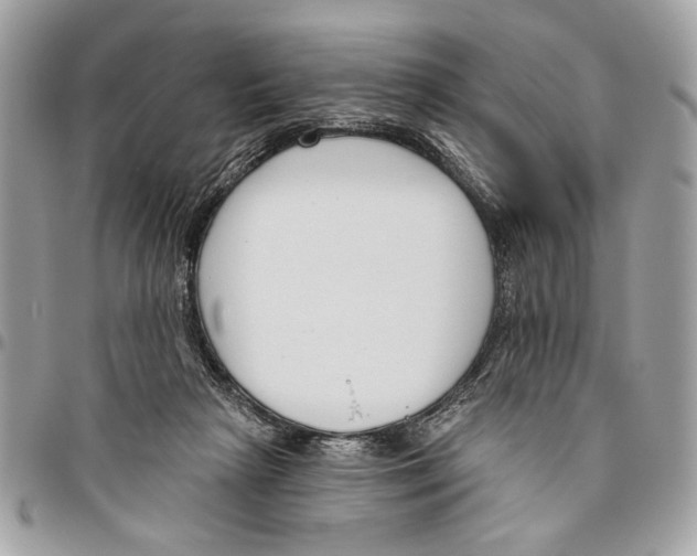 X0000096210265200802081509