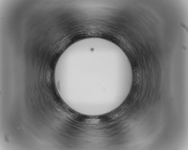 X0000096210266200802081509