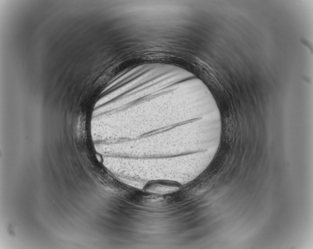 X0000096210267200802081509