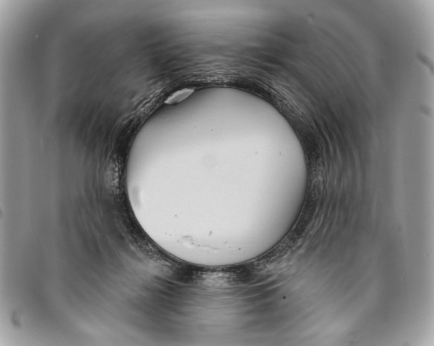 X0000096210268200802081509