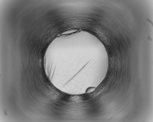 X0000096210269200802081509