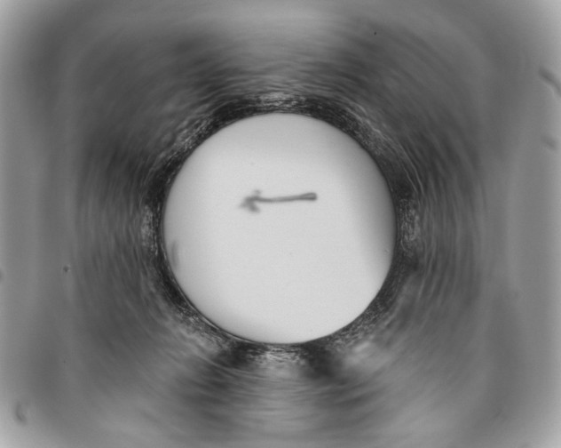 X0000096210270200802081509