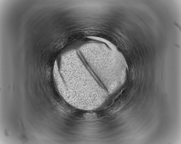 X0000096210271200802081509