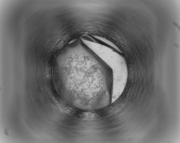 X0000096210272200802081509