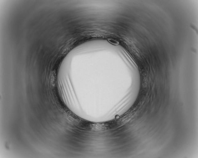 X0000096210273200802081509