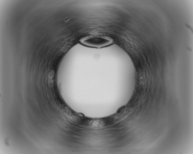 X0000096210275200802081509