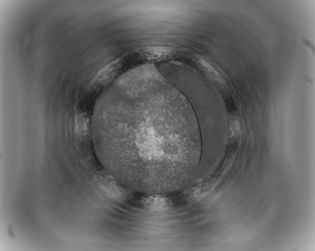 X0000096210276200802081509