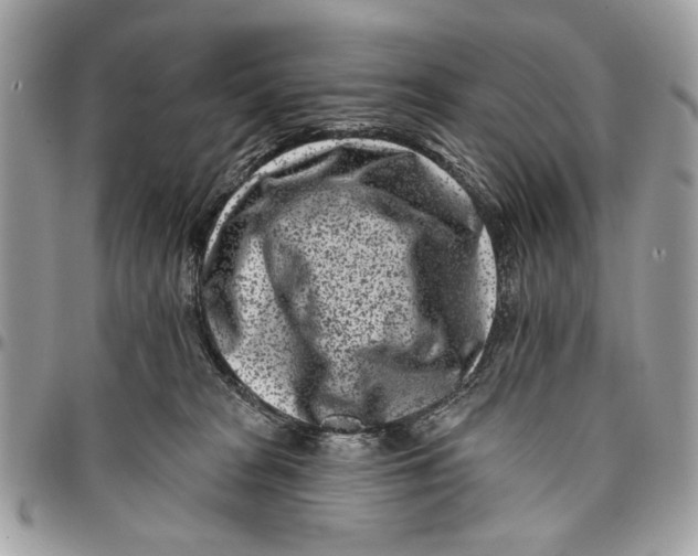 X0000096210277200802081509