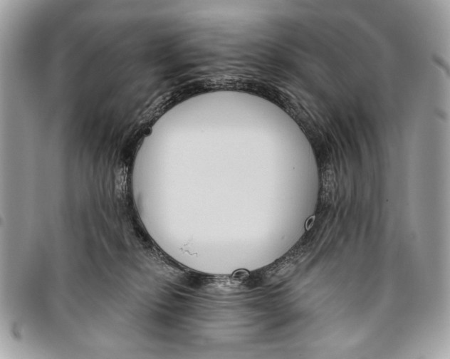 X0000096210278200802081509