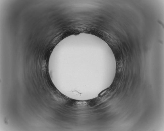 X0000096210279200802081509