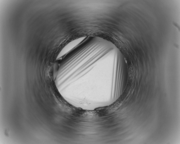 X0000096210280200802081509