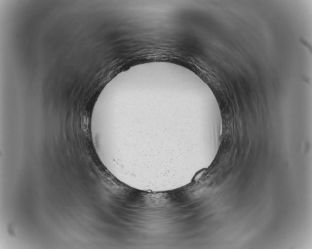 X0000096210281200802081509