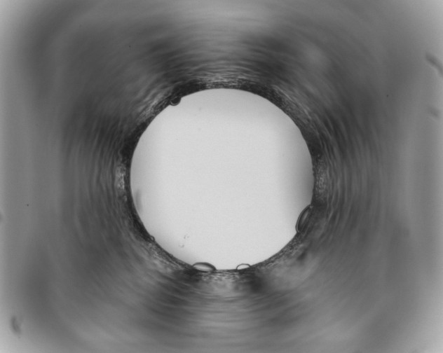 X0000096210282200802081509