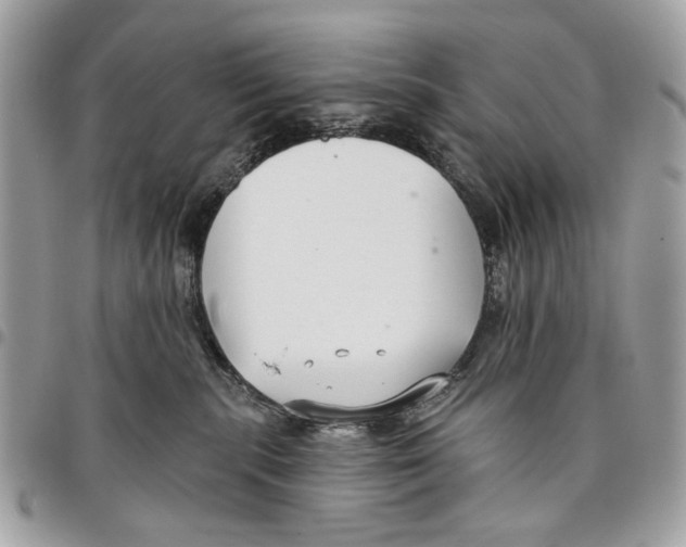 X0000096210283200802081509