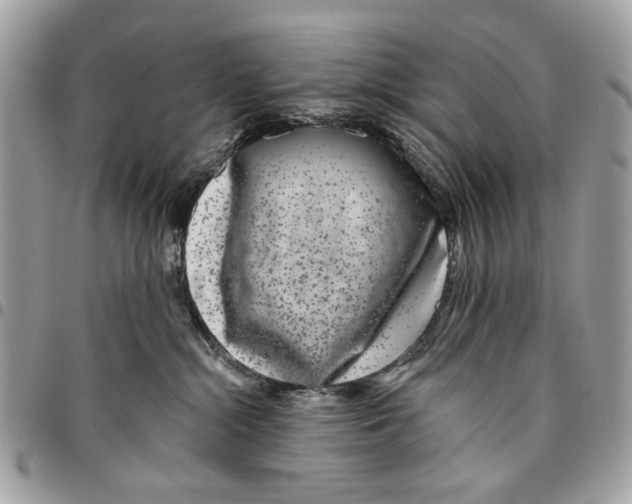 X0000096210284200802081509