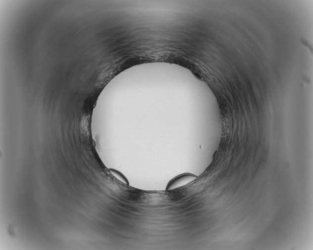 X0000096210286200802081509