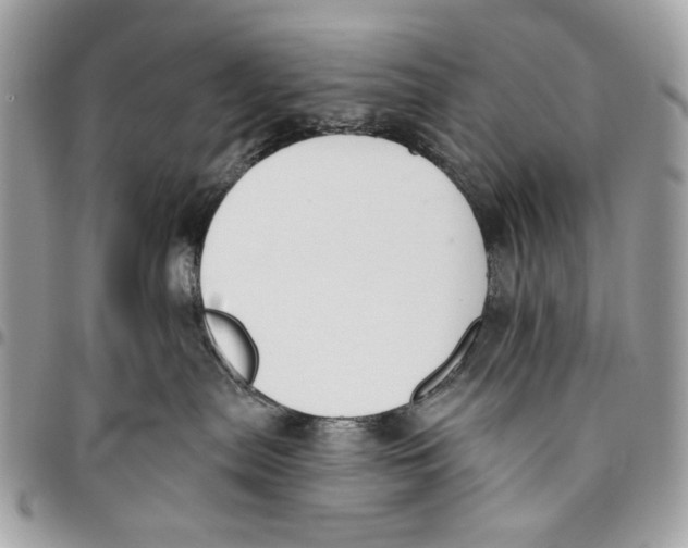 X0000096210287200802081509