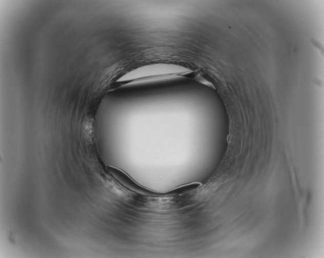 X0000096210288200802081509