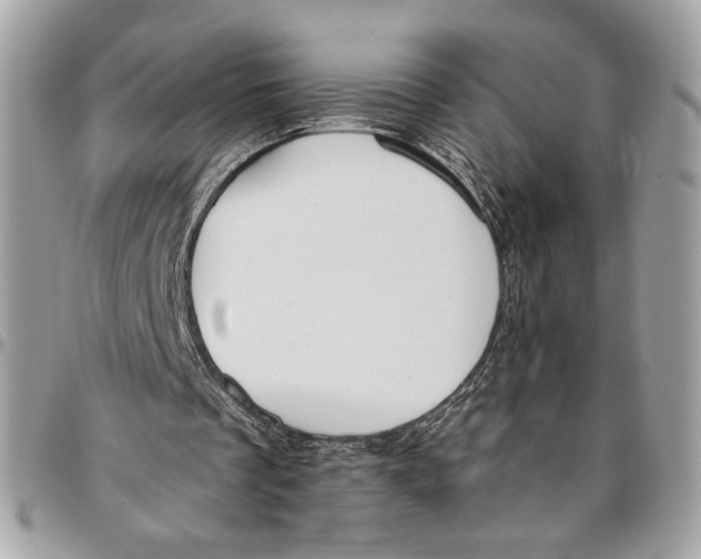 X0000096210289200802081509