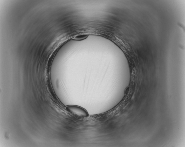 X0000096210290200802081509