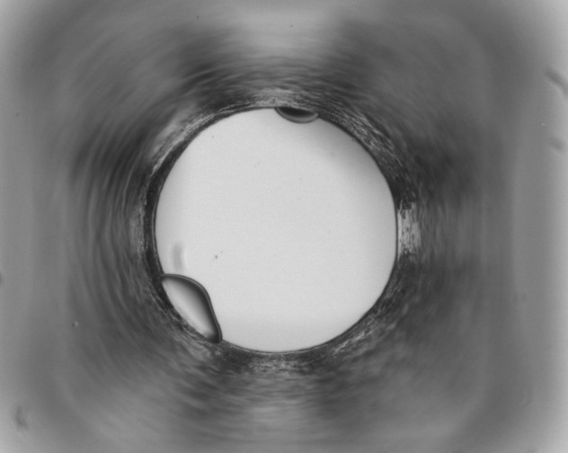 X0000096210291200802081509