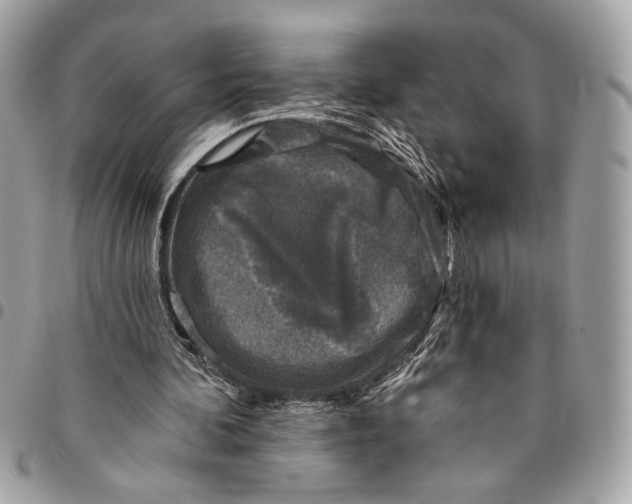 X0000096210292200802081509