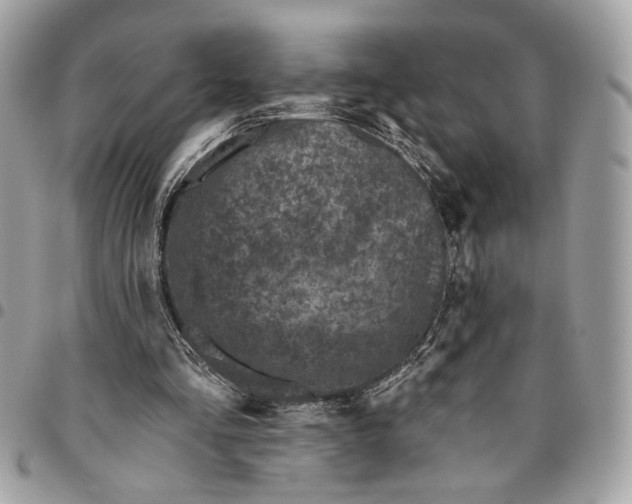 X0000096210293200802081509