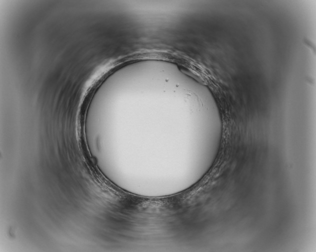 X0000096210294200802081509