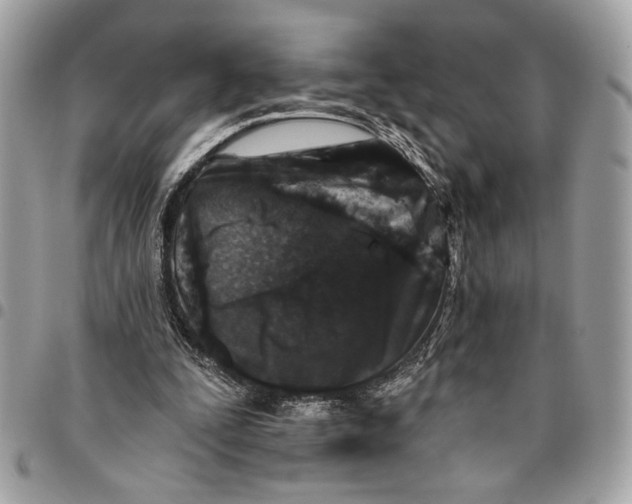 X0000096210295200802081509