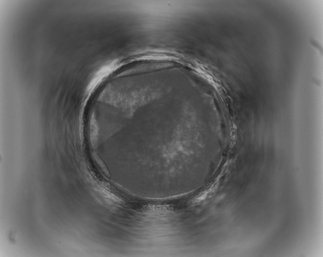 X0000096210296200802081509