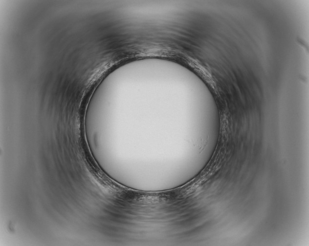 X0000096210298200802081509