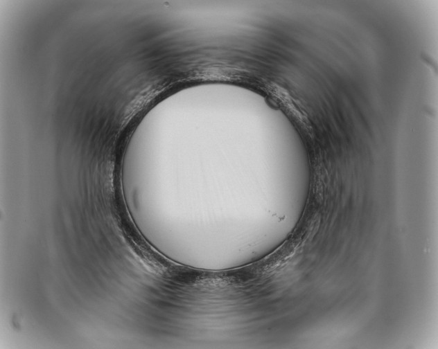 X0000096210299200802081509