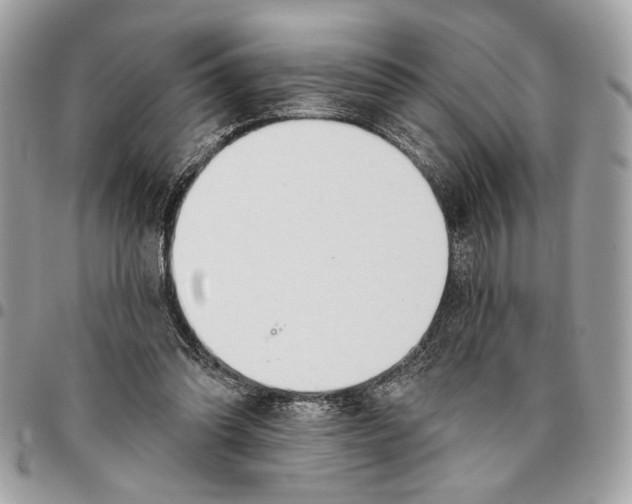 X0000096210302200802081508