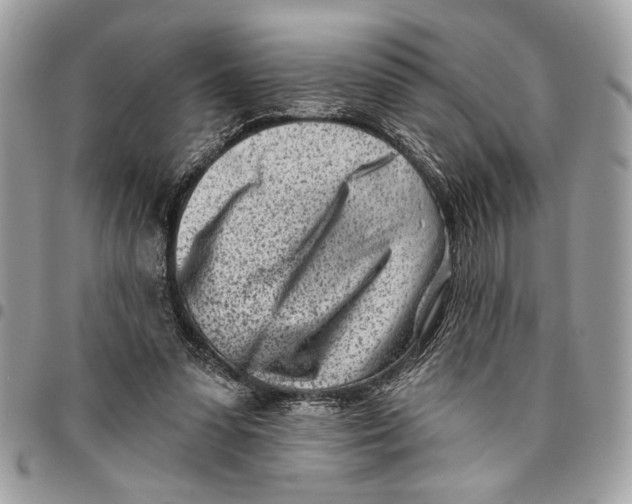 X0000096210303200802081508