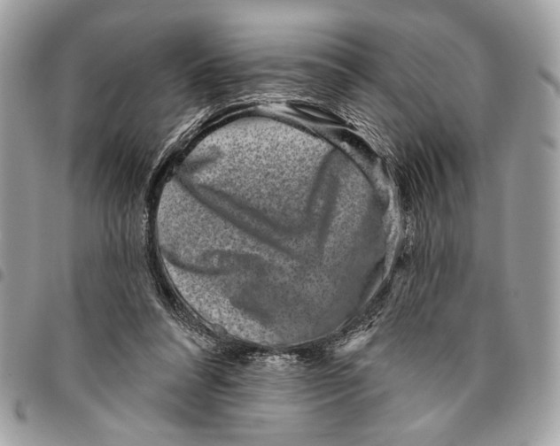 X0000096210304200802081508