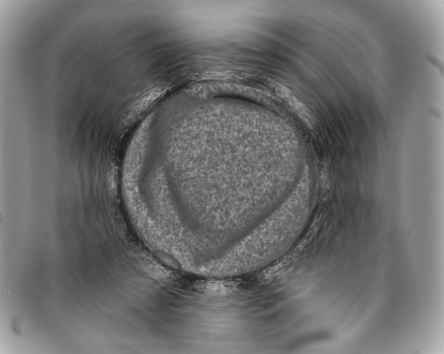 X0000096210305200802081508