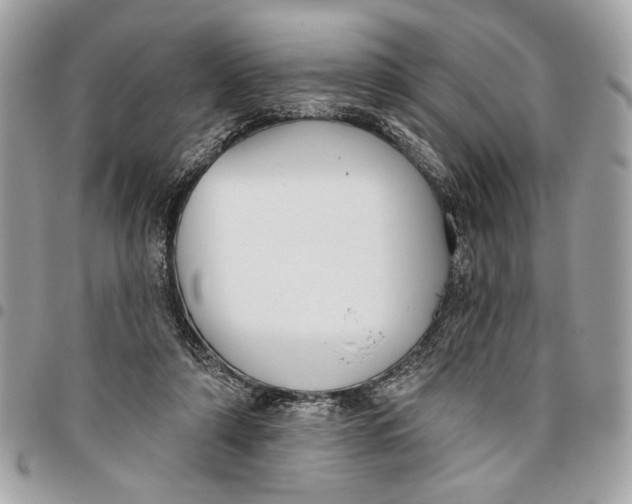 X0000096210306200802081508