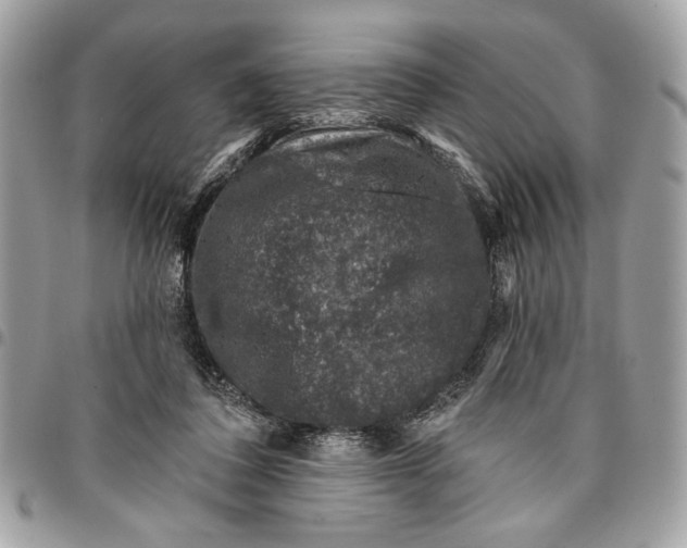 X0000096210308200802081508