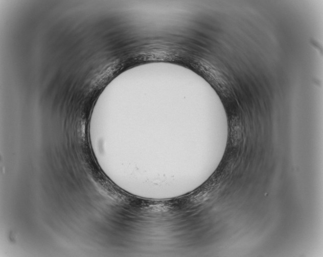 X0000096210310200802081508