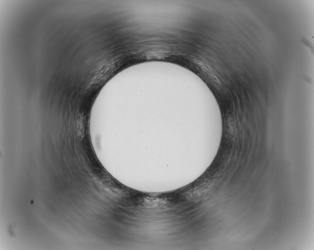 X0000096210311200802081508