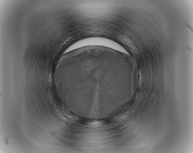 X0000096210312200802081508