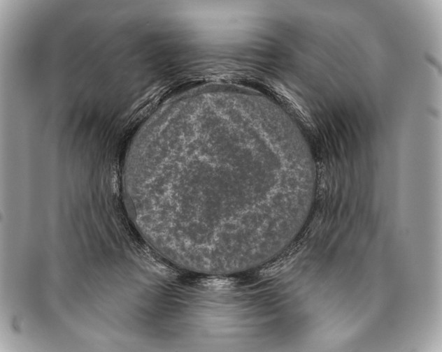 X0000096210313200802081508