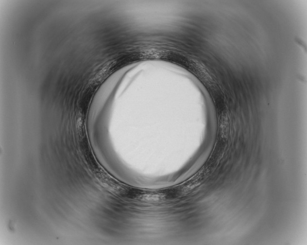 X0000096210314200802081508