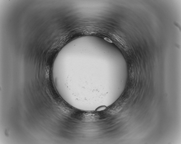 X0000096210315200802081508