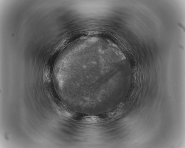 X0000096210316200802081508