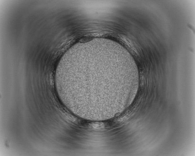 X0000096210317200802081508