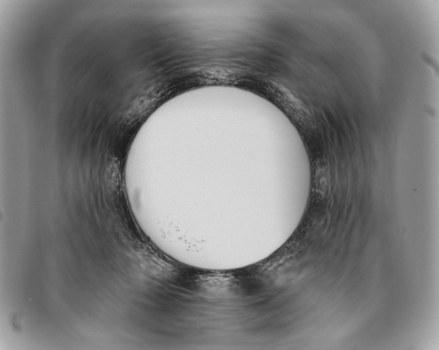 X0000096210318200802081508