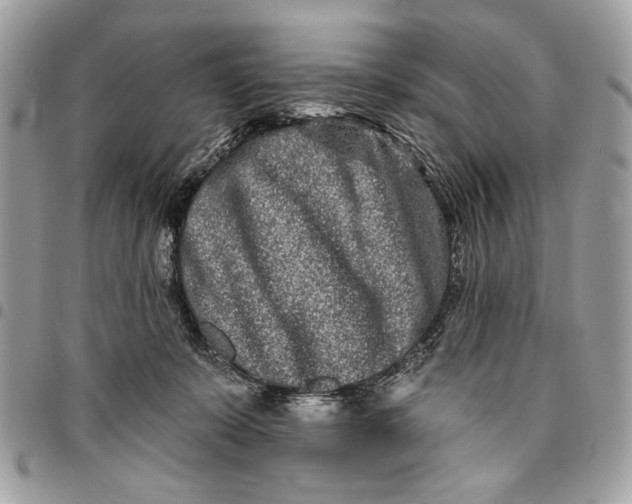 X0000096210319200802081508